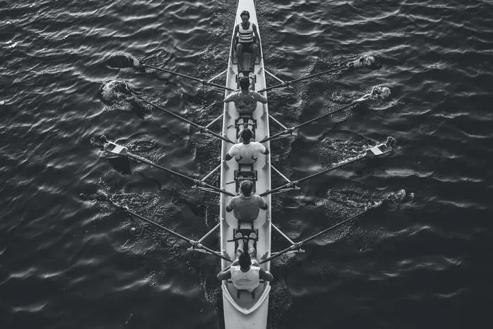 A rowing crew moving in unison, seen from above